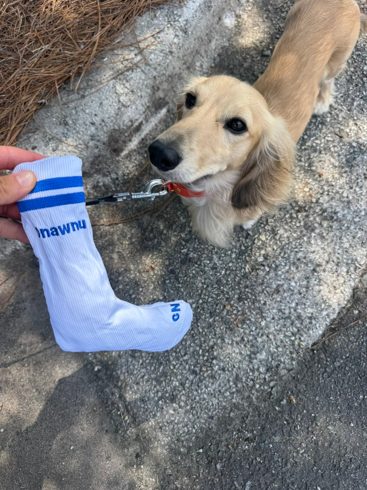 The Sock For Him